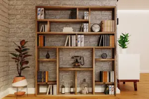 Bookcases & Shelves