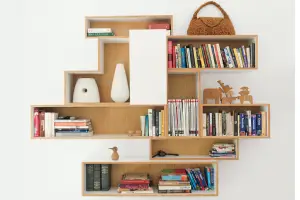 Bookcases & Shelves 